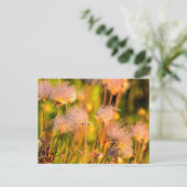 Wildblumen von Prairie Smoke in Aspen Grove Postkarte (Stehend Vorderseite)