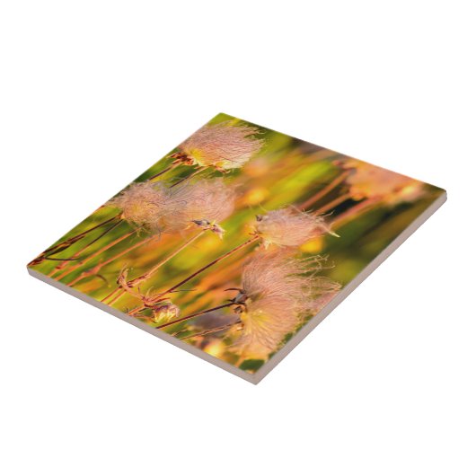 Wildblumen von Rauch in Aspen Ground Fliese (Seite)