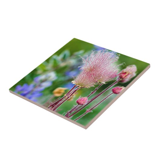 Wildblumen von Rauch in Aspen Grove 2 Fliese (Seite)