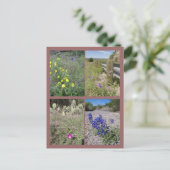 Wildblumen von Texas Postkarte (Stehend Vorderseite)