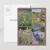 Wildblumen von Texas Postkarte (Vorne/Hinten)
