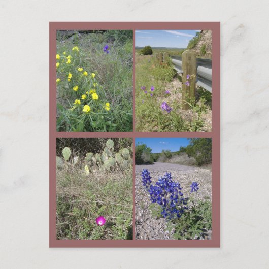 Wildblumen von Texas Postkarte (Vorderseite)