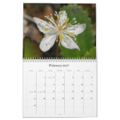 Wildblumen von Unalaska Insel Kalender (Feb 2027)