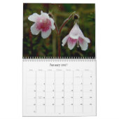 Wildblumen von Unalaska Insel Kalender (Jan 2027)