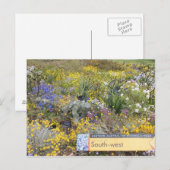 Wildblumen Western Australien Postkarte (Vorne/Hinten)