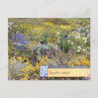Wildblumen Western Australien Postkarte