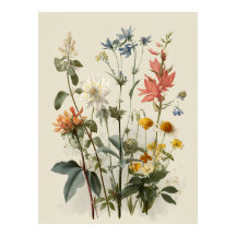 Wildblumen-Wiesenstrauß