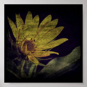 Wildblumenplatz Poster