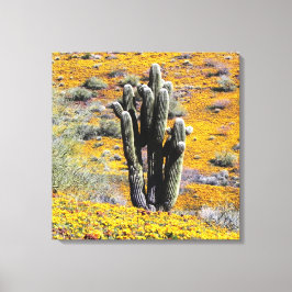 Wildblüte der Blume Leinwanddruck