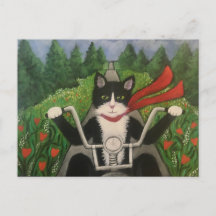 Wildboy Rides Wieder