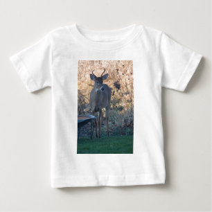 Wildbuckhirsch Baby T-shirt