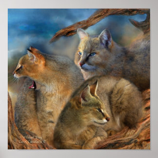 Wildcat Day Art Poster/Print Poster