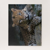 Wildcat Jaguar Animal Puzzle (Vertikal)