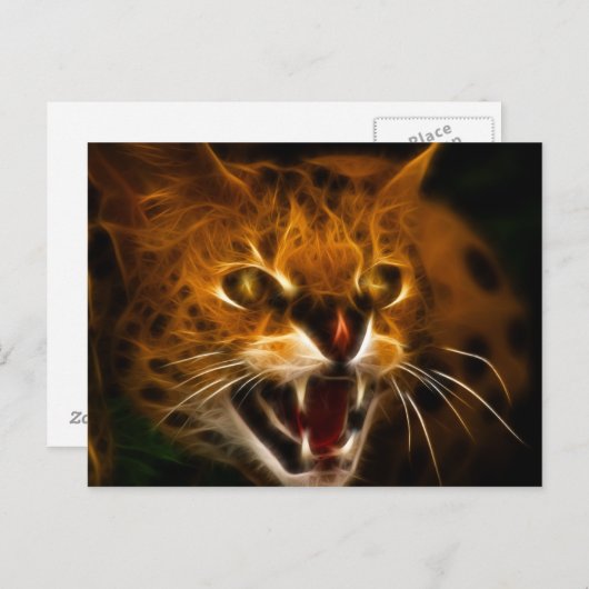 Wildcat Postkarte (Vorne/Hinten)