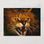 Wildcat Postkarte (Vorderseite)