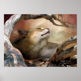 Wildcat Sunrise Art Poster/Print Poster