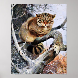 Wildcat Vintag Artwork Poster