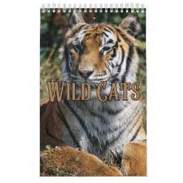 Wildcats Showcase Collection Wall Calendar Kalender