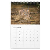 Wildcats Showcase Collection Wall Calendar Kalender (Feb 2027)