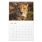 Wildcats Showcase Collection Wall Calendar Kalender (Mär 2026)