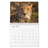 Wildcats Showcase Collection Wall Calendar Kalender (Mär 2027)