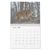 Wildcats Showcase Collection Wall Calendar Kalender (Jan 2026)