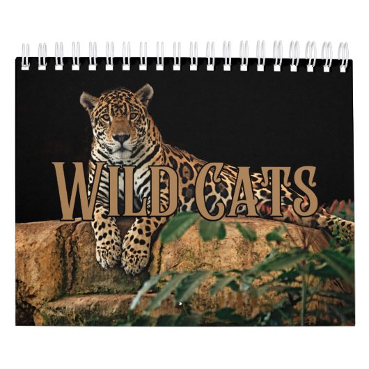 Wildcats Showcase Collection Wall Calendar Kalender (Titelbild)