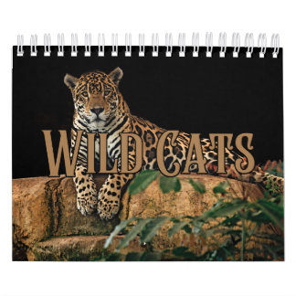 Wildcats Showcase Collection Wall Calendar Kalender