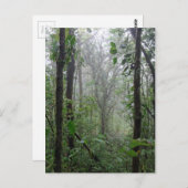 Wildcosta rica postkarte (Vorne/Hinten)