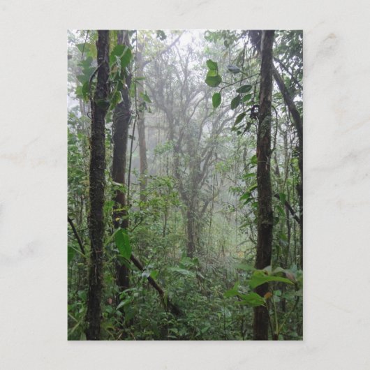 Wildcosta rica postkarte (Vorderseite)