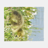 Wilddecke, Fleece, Gänse, Kanadas Fleecedecke (Vorderseite (Horizontal))