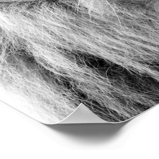 Wilddschungel-Foto Poster (Ecke)