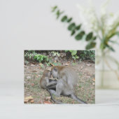 Wilde Affen aus Singapur Postkarte (Stehend Vorderseite)