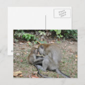 Wilde Affen aus Singapur Postkarte (Vorne/Hinten)