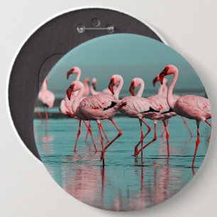 Wilde afrikanische Flamingos Button
