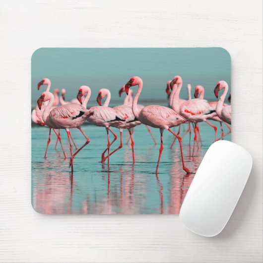 Wilde afrikanische Flamingos Mousepad (Mit Mouse)