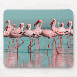 Wilde afrikanische Flamingos Mousepad
