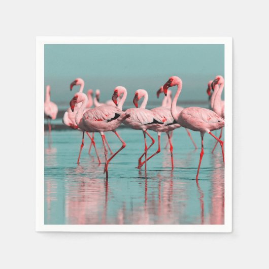 Wilde afrikanische Flamingos Serviette (Vorderseite)