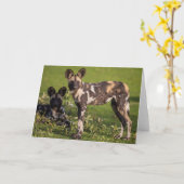 Wilde afrikanische Hunde in Tansania Karte (Gelbe Blume)