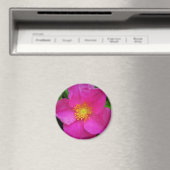 Wilde Alberta-Rose Kanada Helles Rosa Blüte Magnet (In Situ (Geschirrspüler))