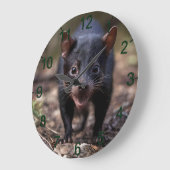 Wilde Anfänge: Der junge Tasmanische Teufel Große Wanduhr (Winkel)