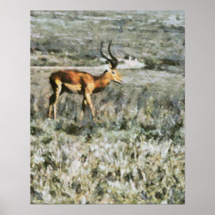 Wilde Antelope in einer Wiesentiermalerei Poster