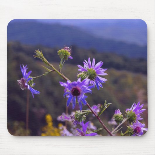 Wilde Aster-Mausunterlage Mousepad (Vorne)
