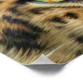 Wilde Augen - Leopard Fine Art Poster/Print Poster (Ecke)