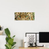 Wilde Augen - Leopard Fine Art Poster/Print Poster (Heimbüro)