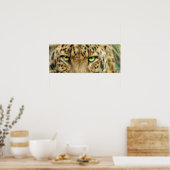 Wilde Augen - Leopard Fine Art Poster/Print Poster (Küche)