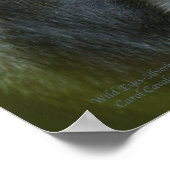Wilde Augen - Silverback Art Poster/Print Poster (Ecke)