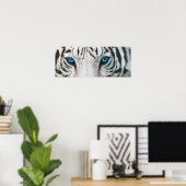 Wilde Augen - White Tiger Art Poster oder Print (Heimbüro)
