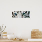 Wilde Augen - White Tiger Art Poster oder Print (Küche)