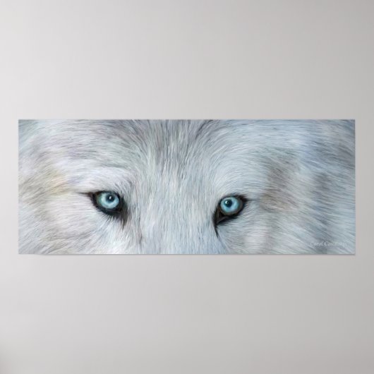Wilde Augen - White Wolf Eyes Art Poster oder Prin (Vorne)